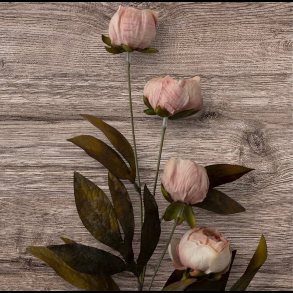 Viral Tan Peony Stems by Ashland Arrangement in off white Exaggerated Rim Vase - Picture 3 of 8